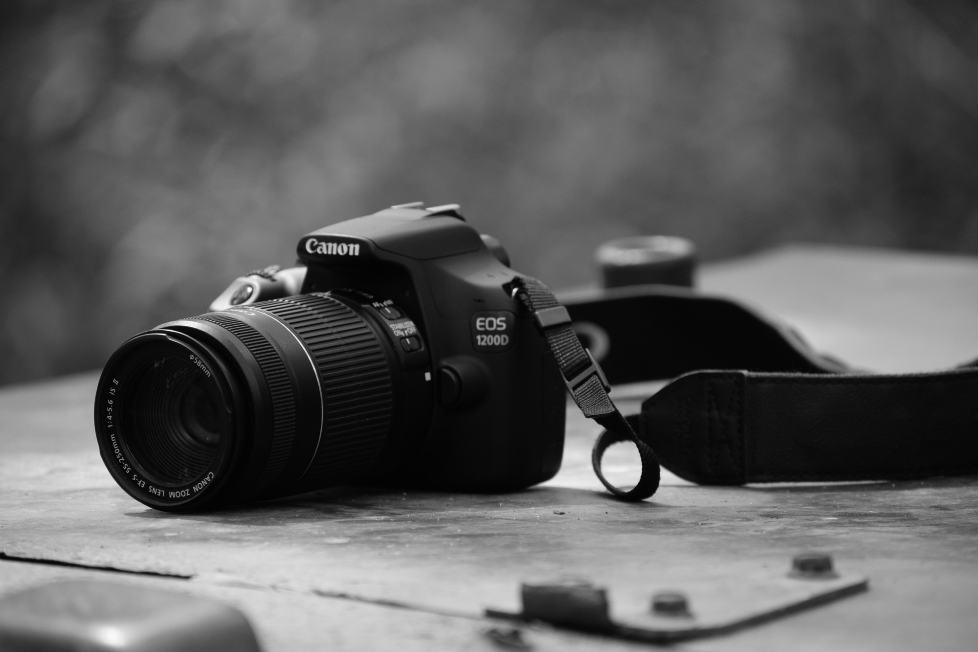 Six Vital Questions to Ask a Wedding Photographer Before Hiring One!